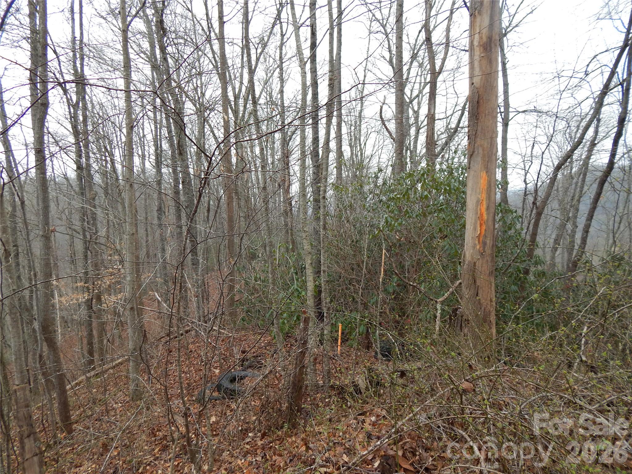 0 Henry Road Sylva, NC 28779 - Photo 15 of 25 Gallery Image 15