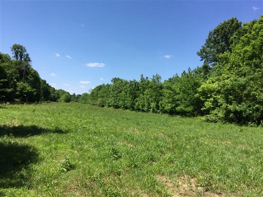 60 Lock B Road South Clarksville, TN 37040 - Photo 2 of 10 Gallery Image 2