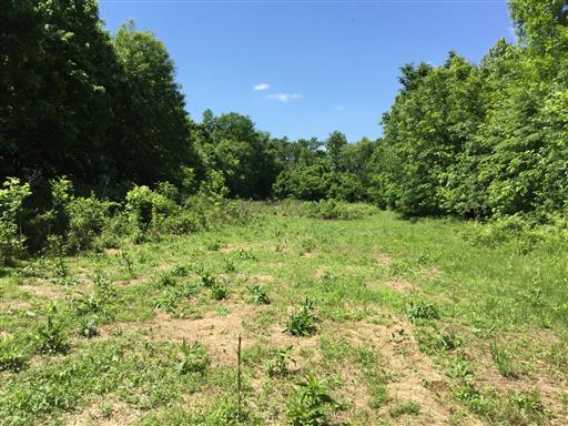 60 Lock B Road South Clarksville, TN 37040 - Photo 3 of 10 Gallery Image 3