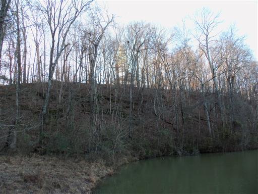 60 Lock B Road South Clarksville, TN 37040 - Photo 8 of 10 Gallery Image 8
