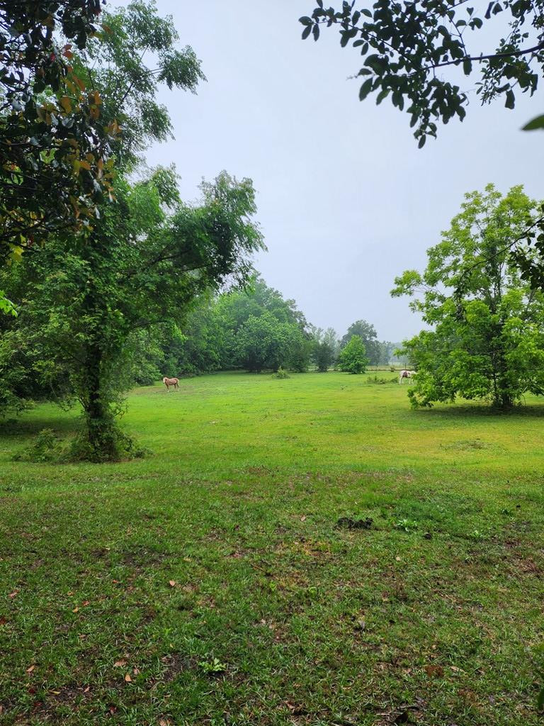 7375 Delgar Road Rembert, SC 29128 - Photo 9 of 15