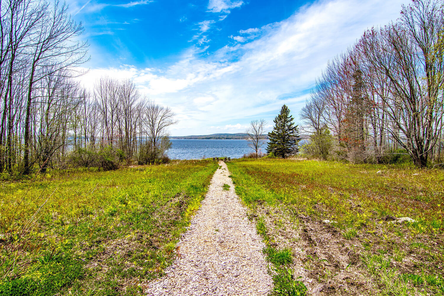 1650 Castine Road Penobscot, ME 04476 - Photo 42 of 63 Path to waterfront