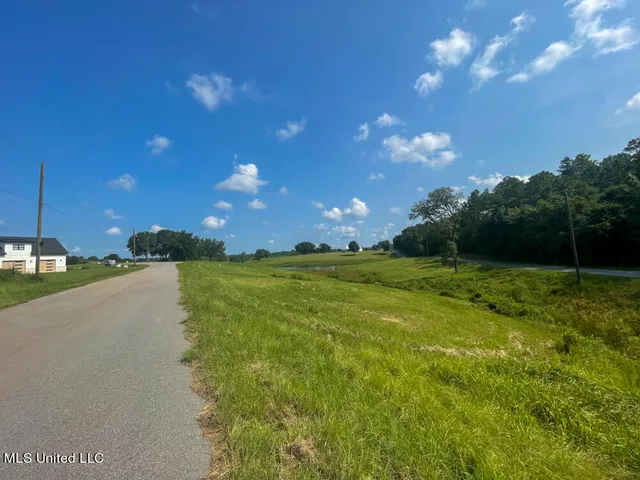 $51,870 | Lot 14 Gracie's Way, Lucedale, MS 39452