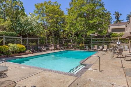 10120 United Place Cupertino, CA 95014 - Photo 21 of 30 a swimming pool with outdoor seating and garden