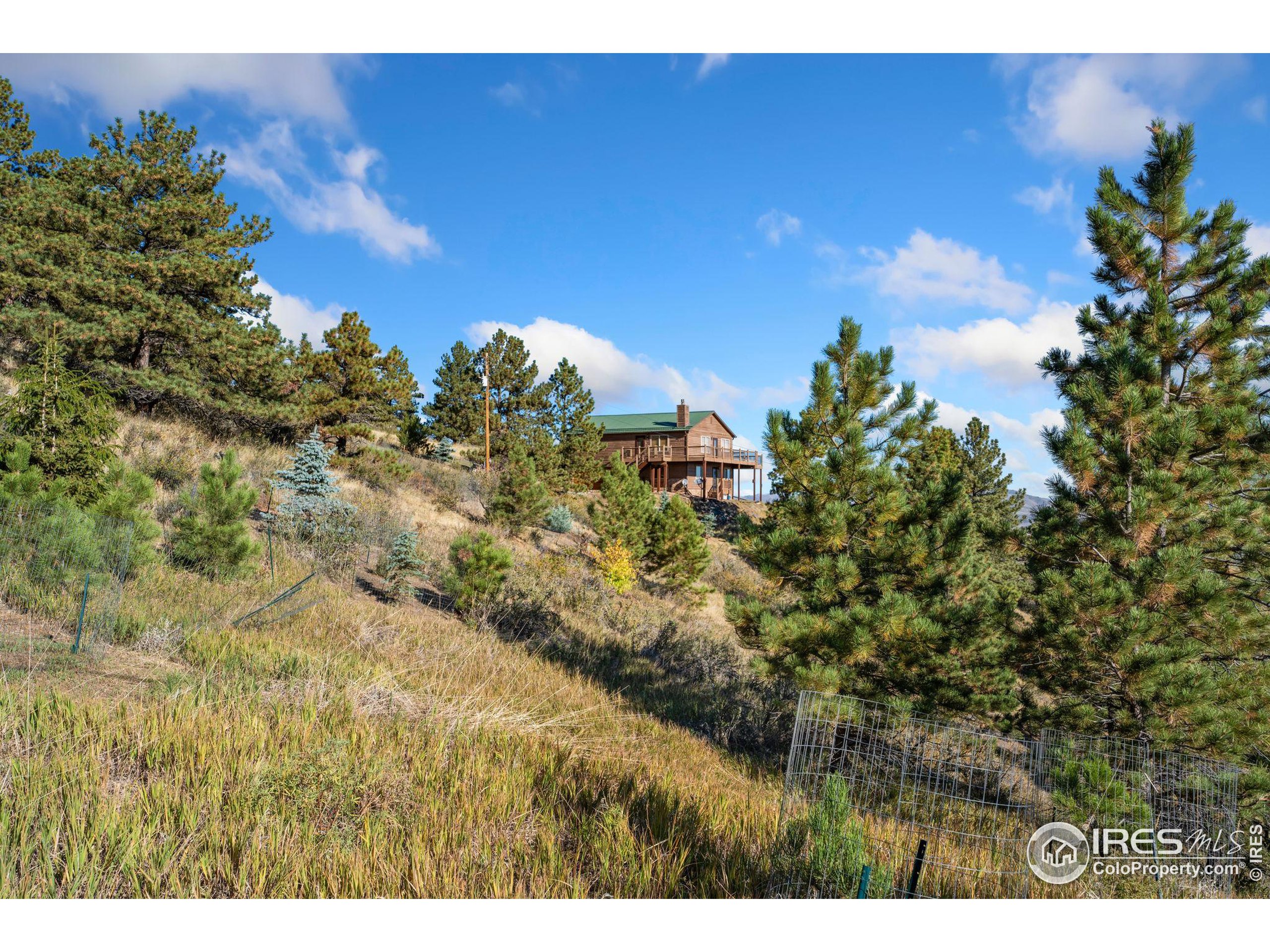6508 Jackpine Drive Bellvue, CO 80512 - Photo 25 of 34