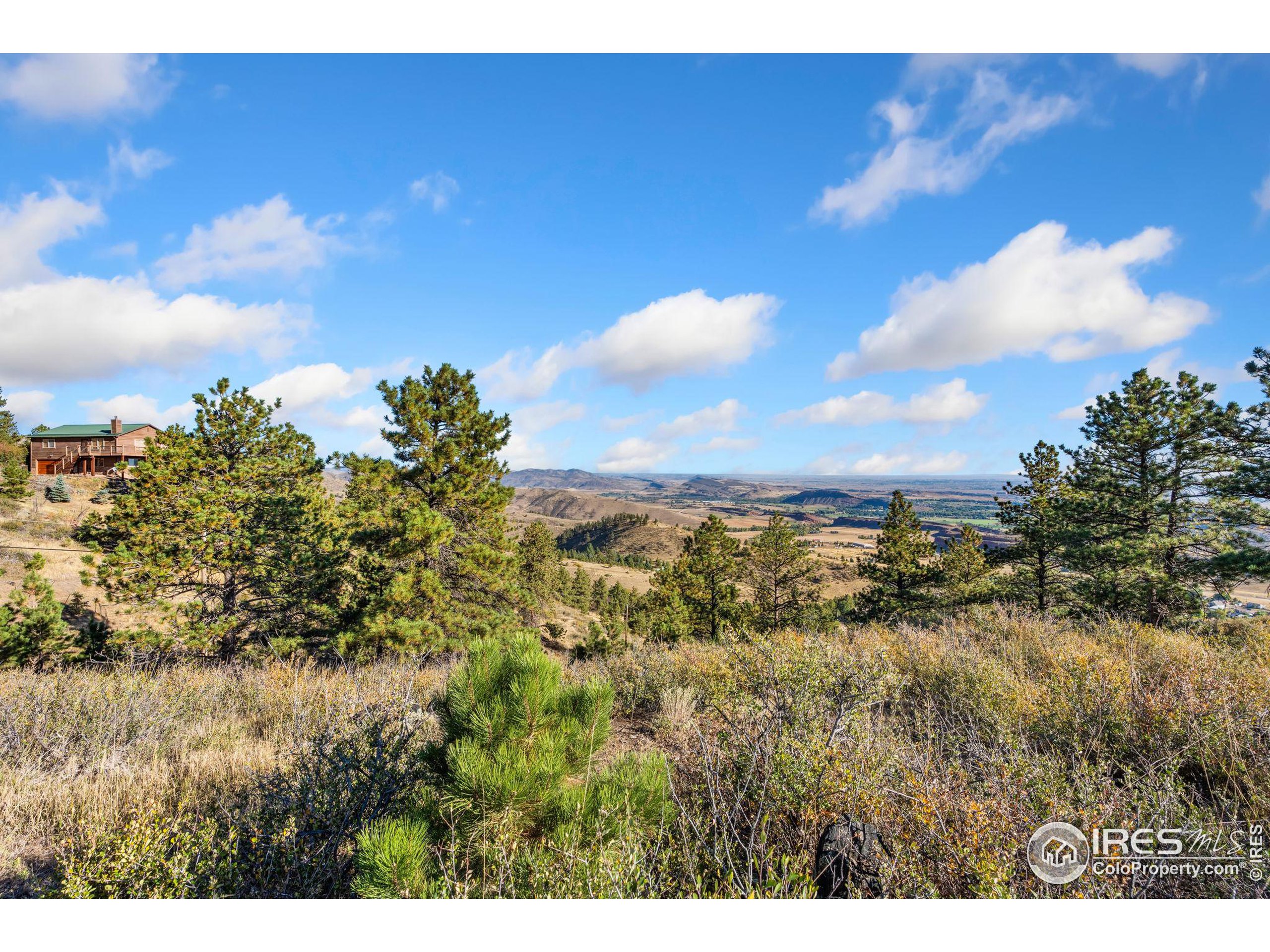 6508 Jackpine Drive Bellvue, CO 80512 - Photo 26 of 34