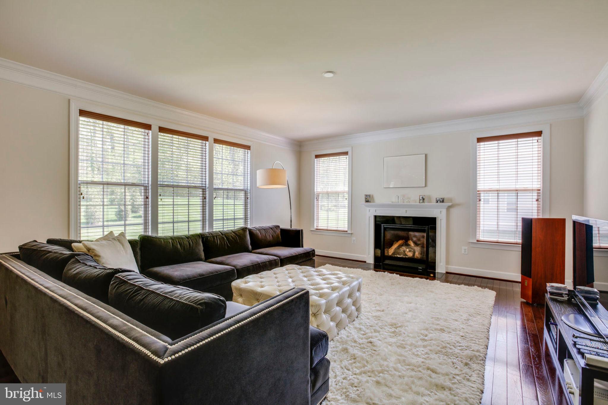 1299 Scotts Run Road McLean, VA 22102 - Photo 3 of 22 a living room with furniture and a fireplace