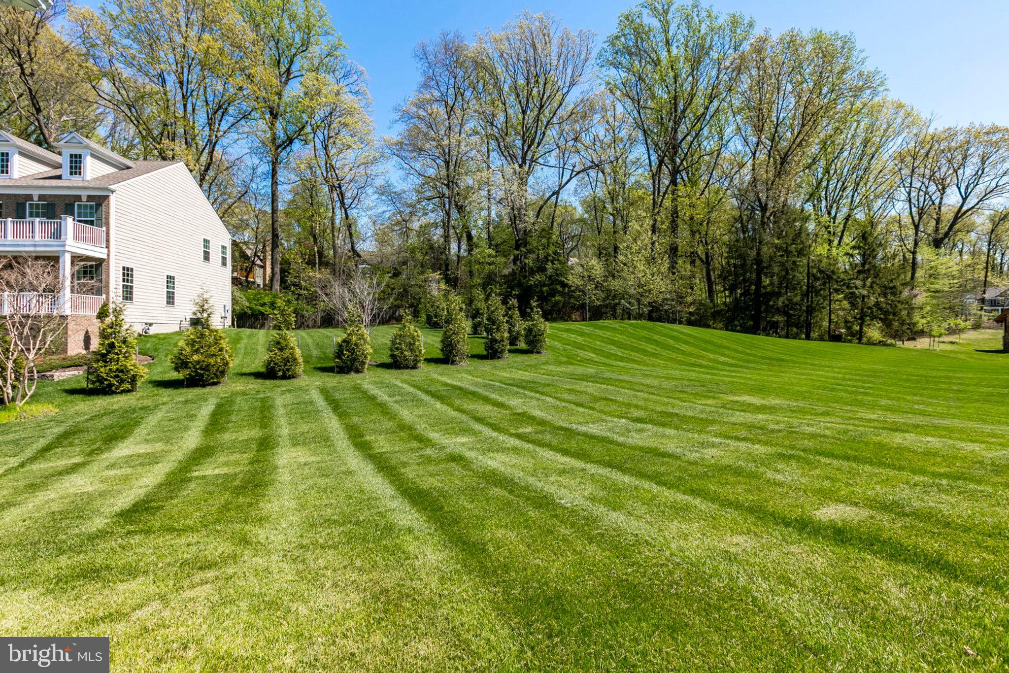 1299 Scotts Run Road McLean, VA 22102 - Photo 22 of 22 a view of yard with swimming pool and green space