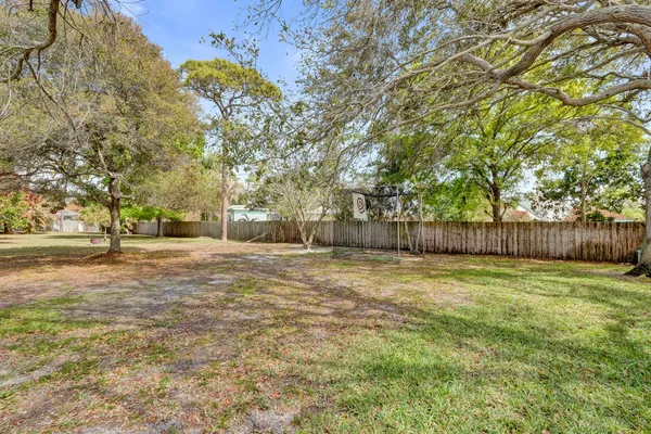 a view of backyard with tree