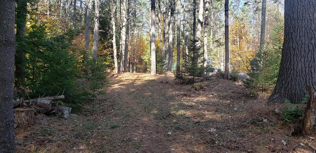 29 Walton Mills Road Mount Vernon, ME 04352 - Photo 14 of 30 Paths