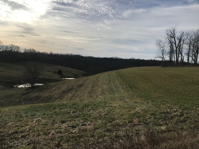 1350 Osborne Road Dry Ridge, KY 41035 - Photo 7 of 12
