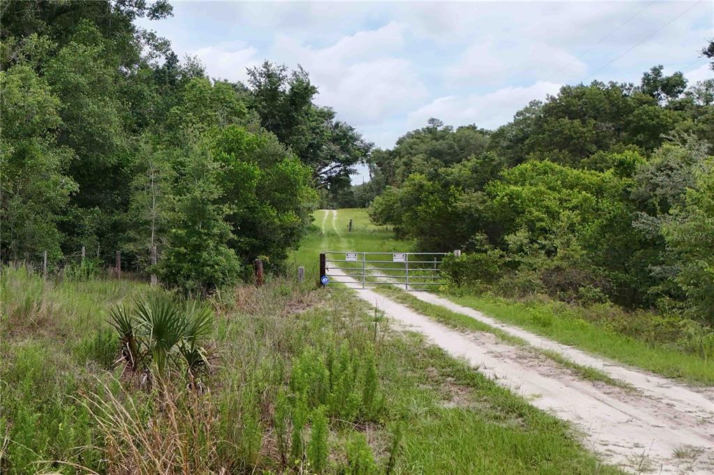 5501 Cemetery Road Mount Dora, FL 32757 - Photo 16 of 16