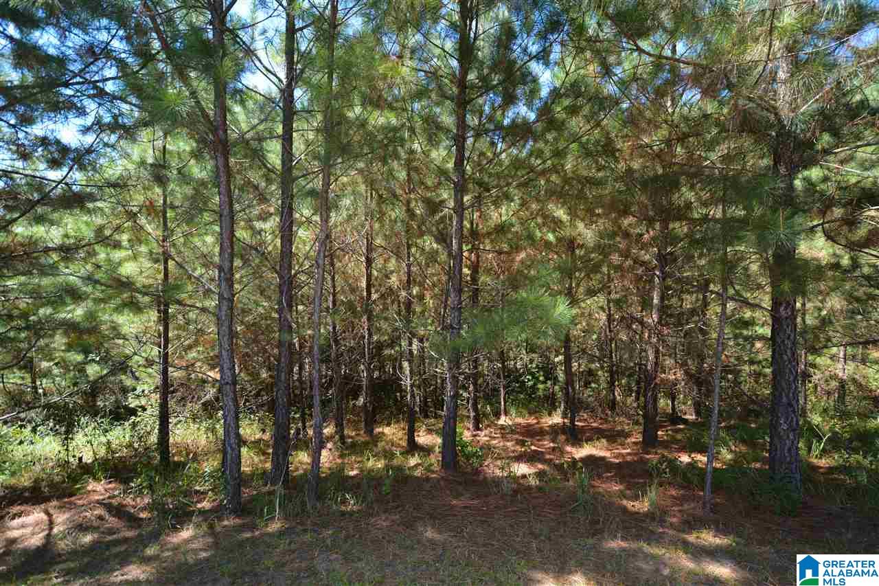 4936 Hawthorne Place Chelsea, AL 35043 - Photo 33 of 36