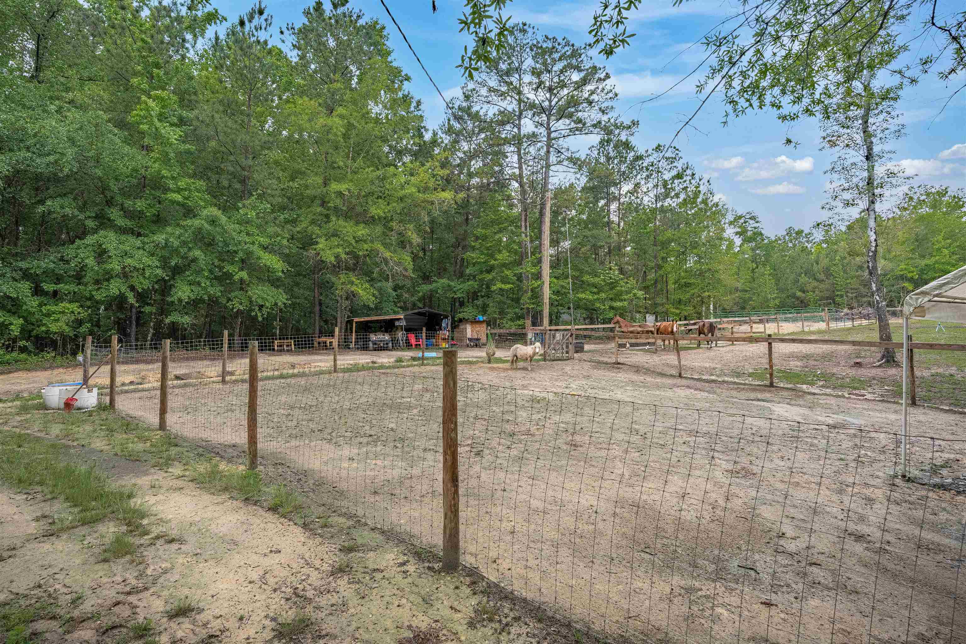 565 Portia Road Blythewood, SC 29016 - Photo 61 of 70