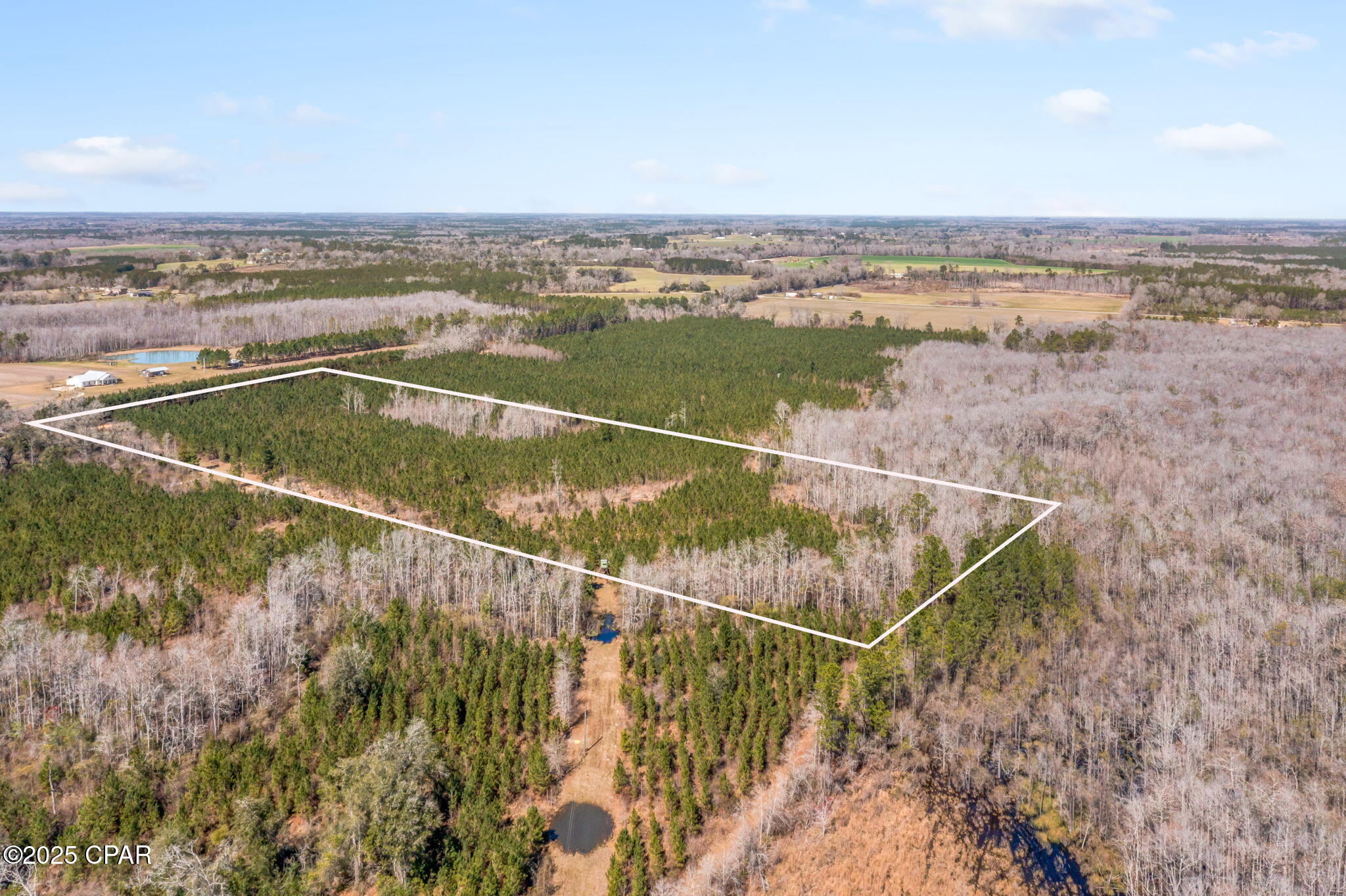Lot 4 New Prospect Road Chipley, FL 32428 - Photo 7 of 26