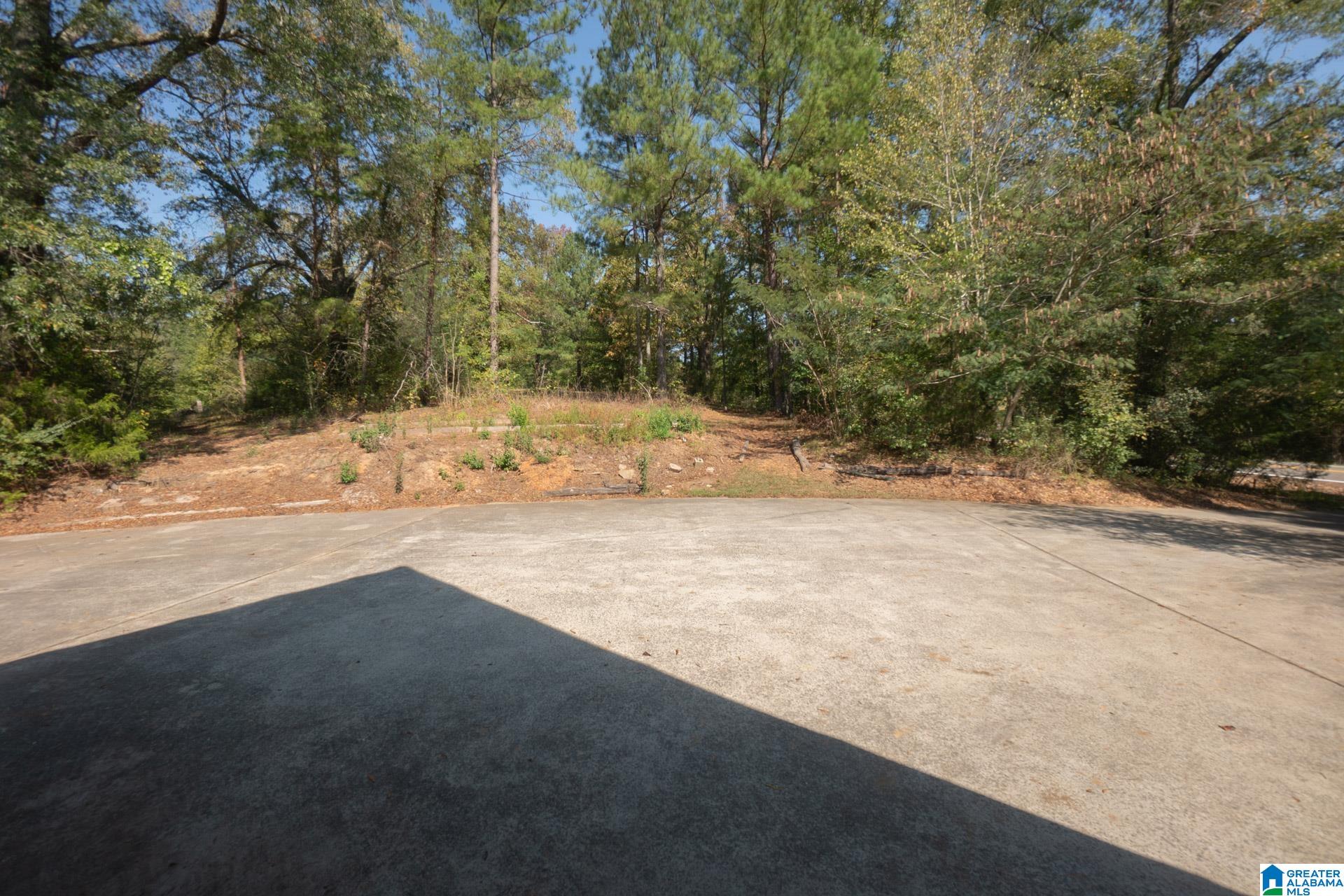 9204 Marsh Mountain Road Pinson, AL 35126 - Photo 10 of 56