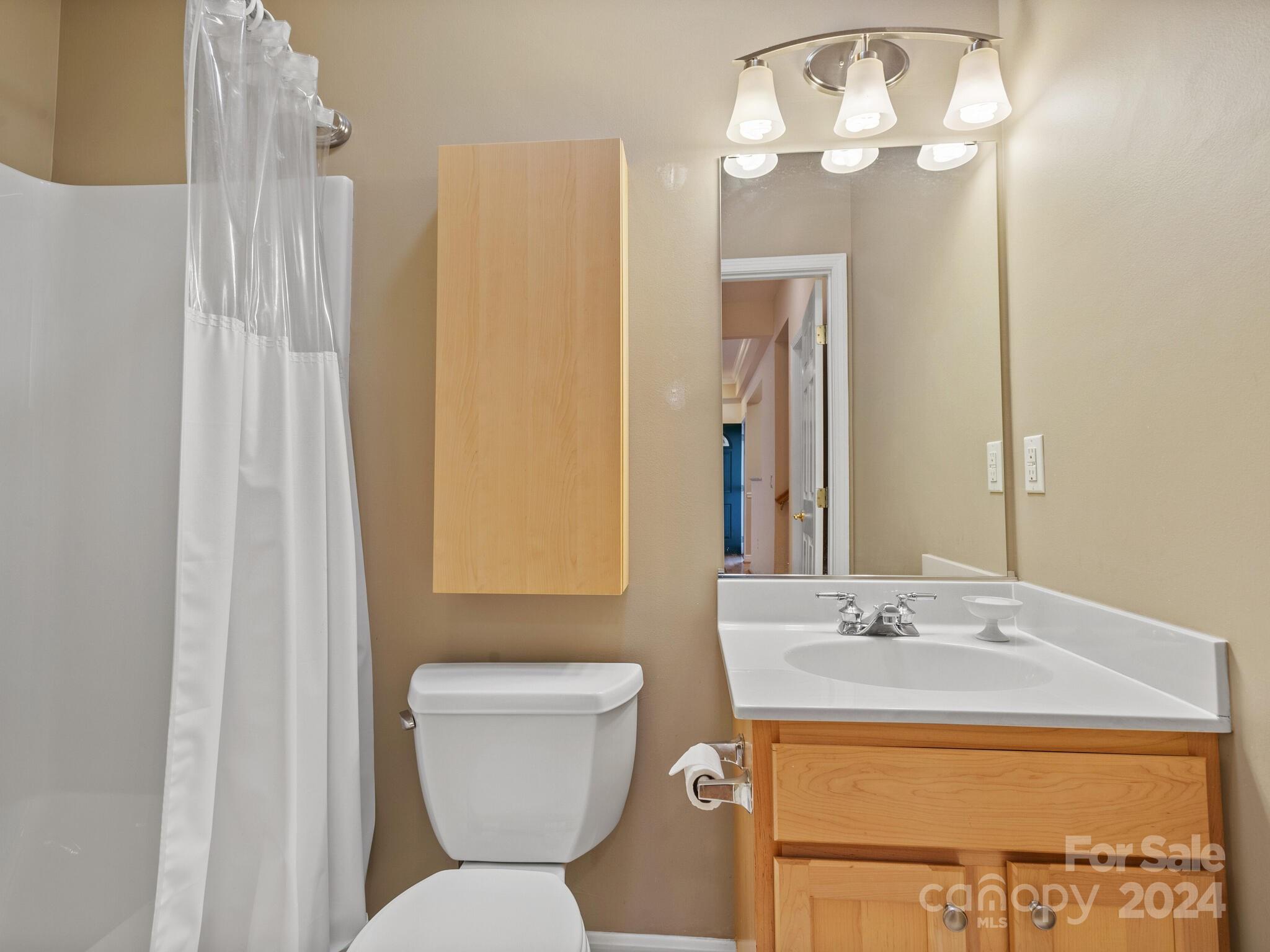 56 Pinnacle Point Drive Asheville, NC 28805 - Photo 31 of 38 a bathroom with a sink a toilet and a mirror