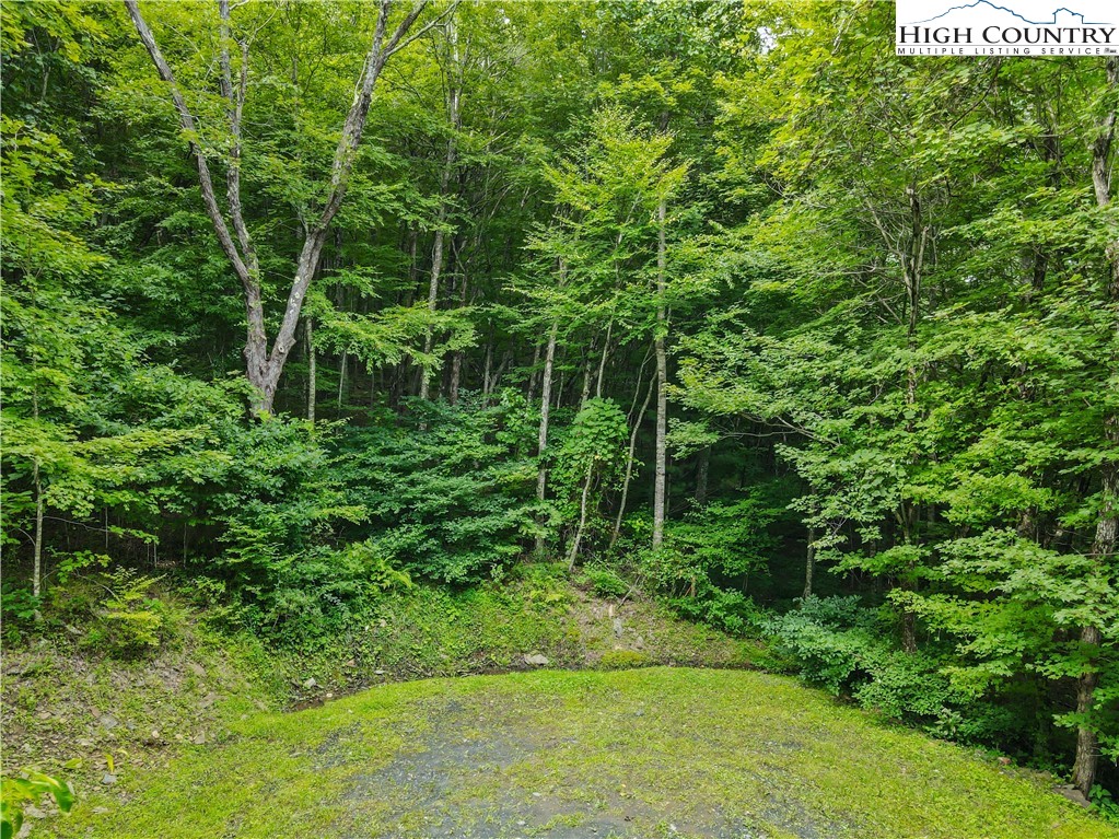 Lot C Great Sky Valley Todd, NC 28684 - Photo 2 of 10 a view of a garden