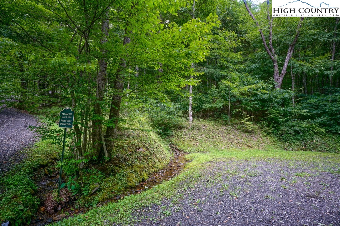 Lot C Great Sky Valley Todd, NC 28684 - Photo 4 of 10 a view of outdoor space and green space