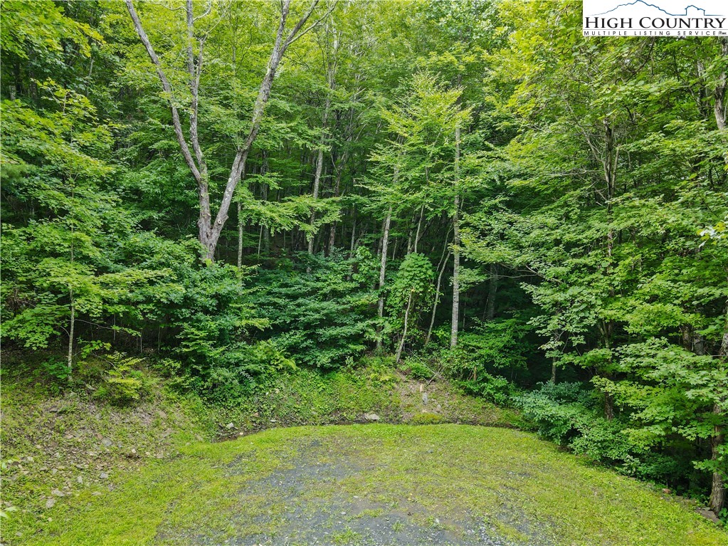 Lot C Great Sky Valley Todd, NC 28684 - Photo 6 of 10 a view of a lush green forest