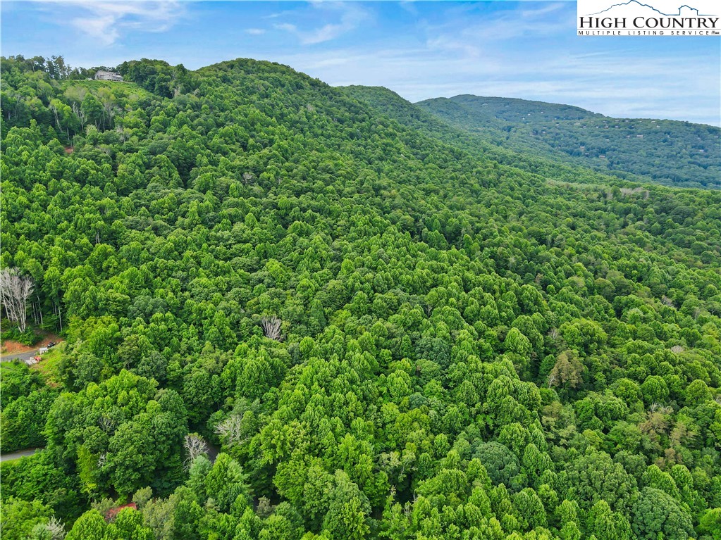 Lot C Great Sky Valley Todd, NC 28684 - Photo 7 of 10 a view of a lush green field