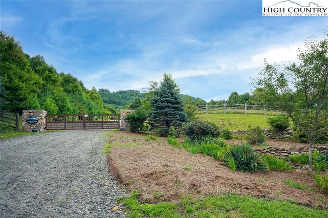 a view of a yard with plants and a large tree