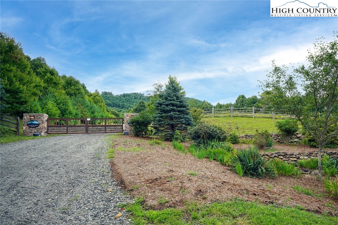 Lot C Great Sky Valley Todd, NC 28684 - Photo 9 of 10 a view of a yard with plants and a large tree