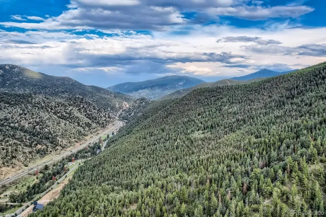 a view of a city with lush green forest