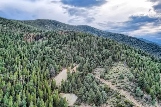 a view of a city with lush green forest