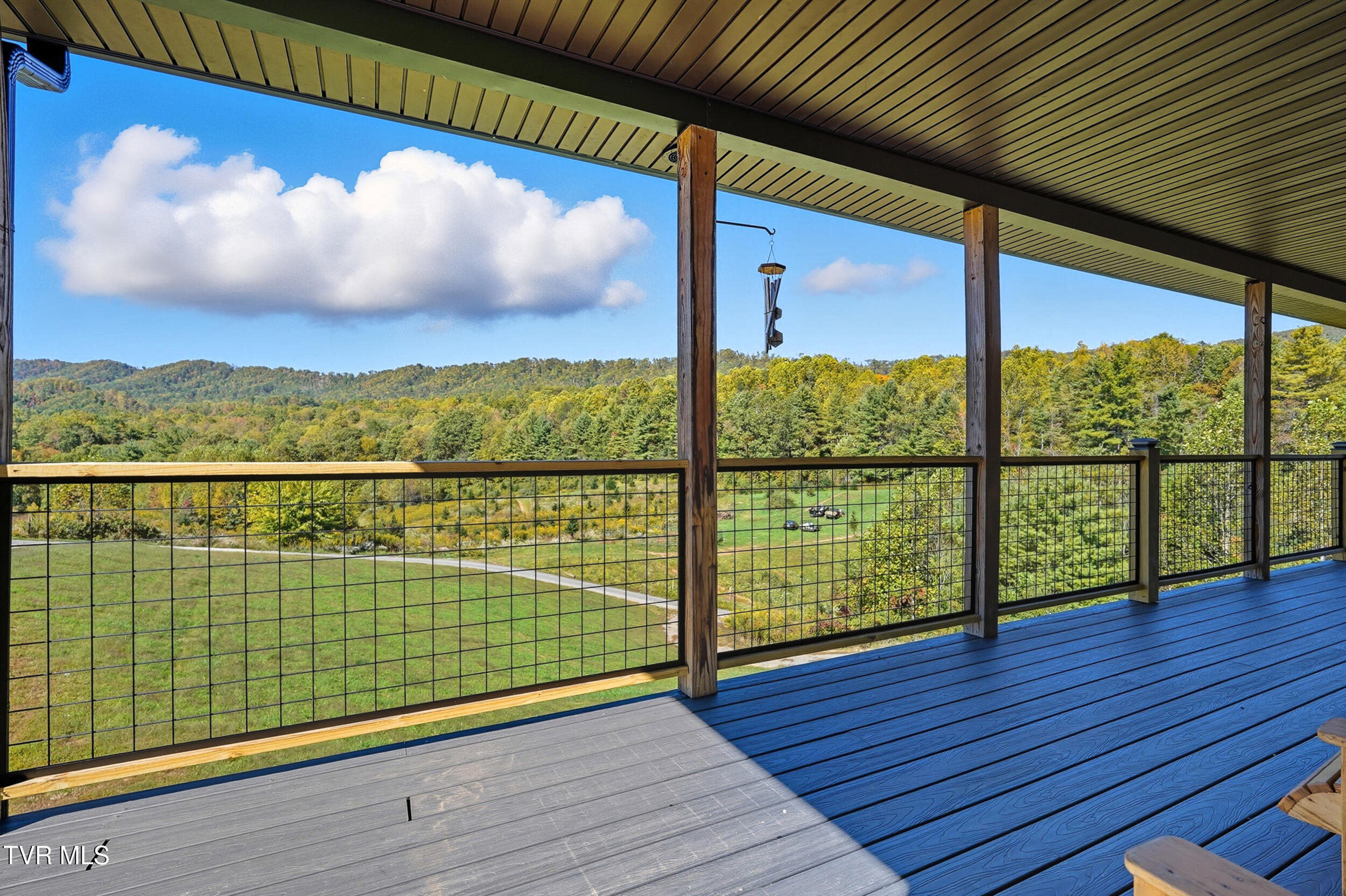 1099 Deer Run Road Mountain City, TN 37683 - Photo 3 of 51 10_dsc06879