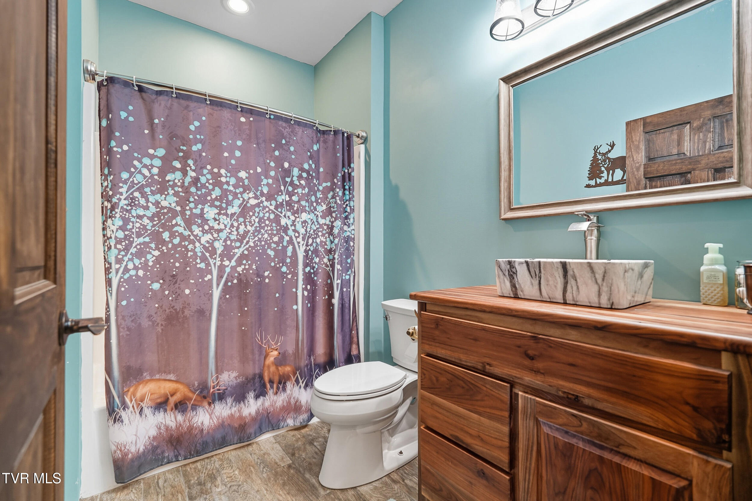 1099 Deer Run Road Mountain City, TN 37683 - Photo 32 of 51 30_dsc06945