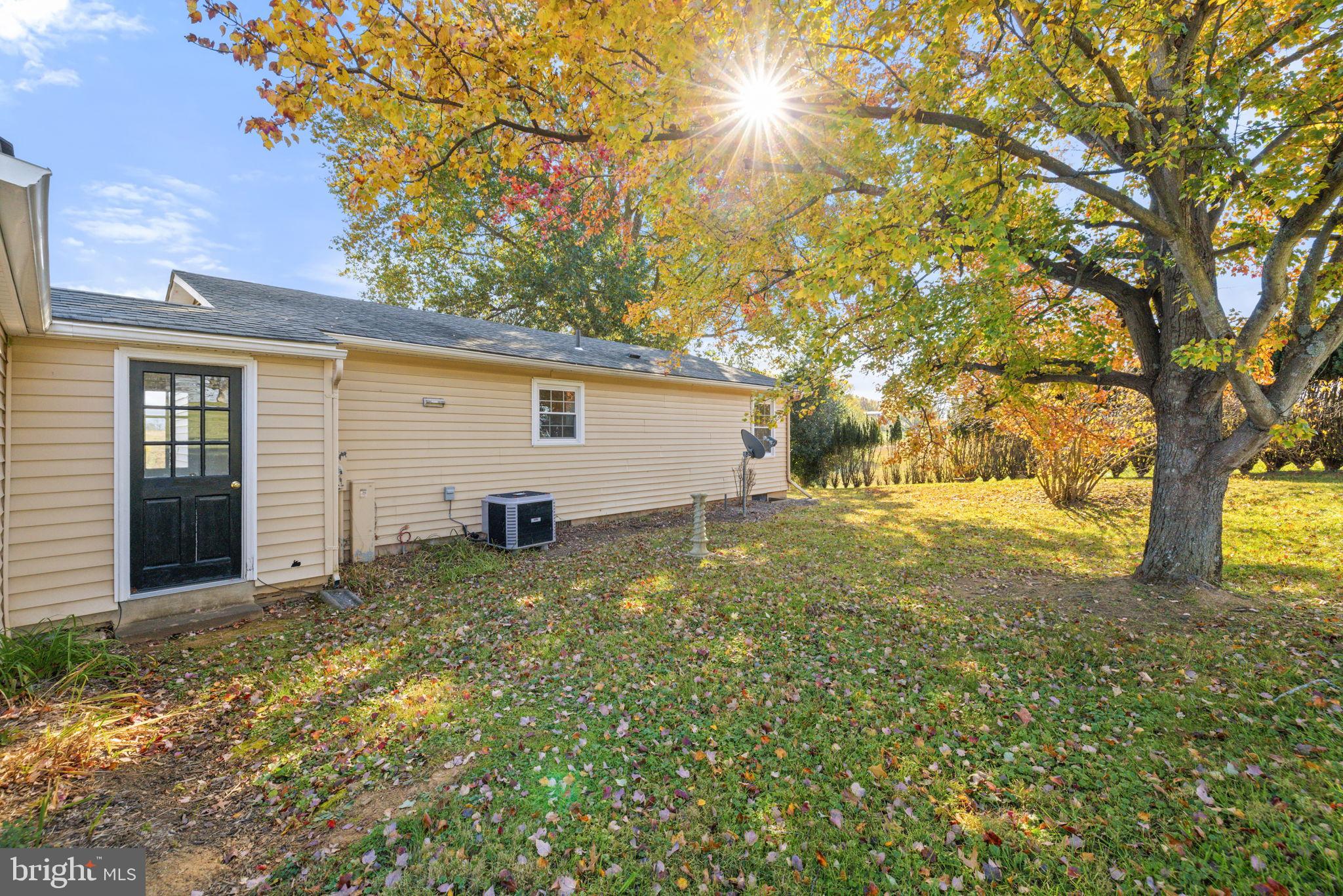 33018 Sunken Lane Upperville, VA 20184 - Photo 25 of 31 a view of a backyard with large trees