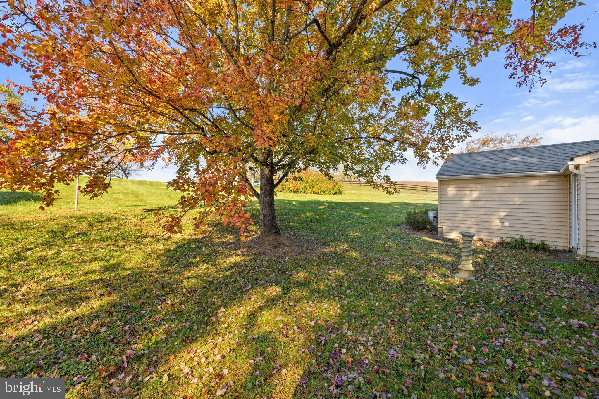33018 Sunken Lane Upperville, VA 20184 - Photo 26 of 31 a backyard of a house with plants and large trees