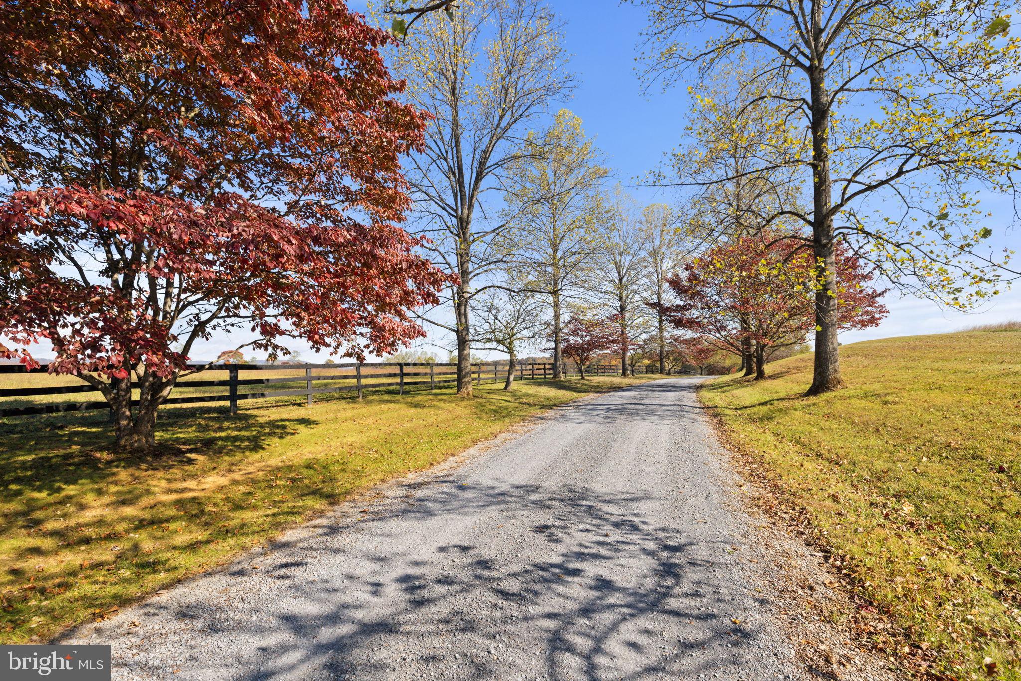 33018 Sunken Lane Upperville, VA 20184 - Photo 29 of 31 a view of yard with lake and trees