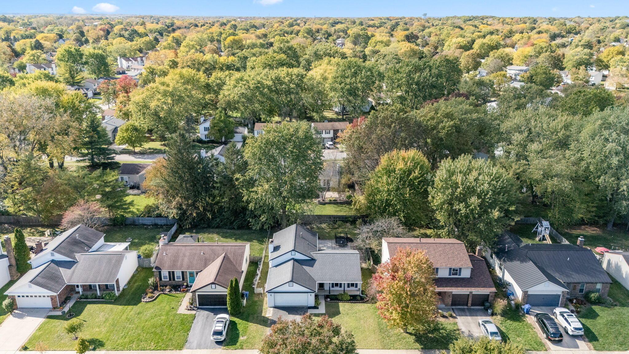 8205 Longhorn Road Powell, OH 43065 - Photo 53 of 54 Aerial