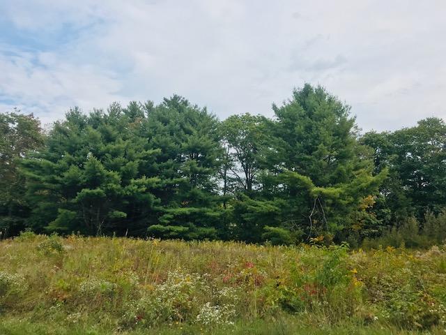21 Perkins Road Dresden, ME 04342 - Photo 4 of 12 lot
