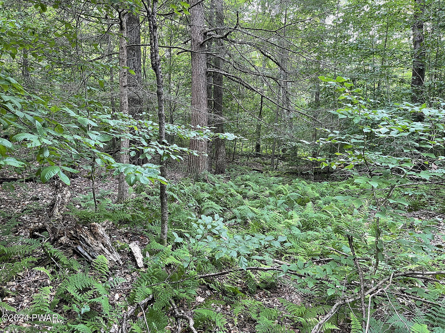 0 Rotten Road Equinunk, PA 18417 - Photo 19 of 20