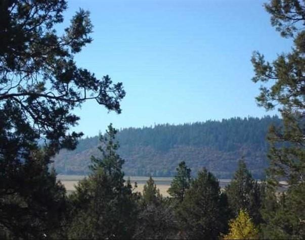 0 Running Y Road Klamath Falls, OR 97601 - Photo 4 of 7 Additional Photo