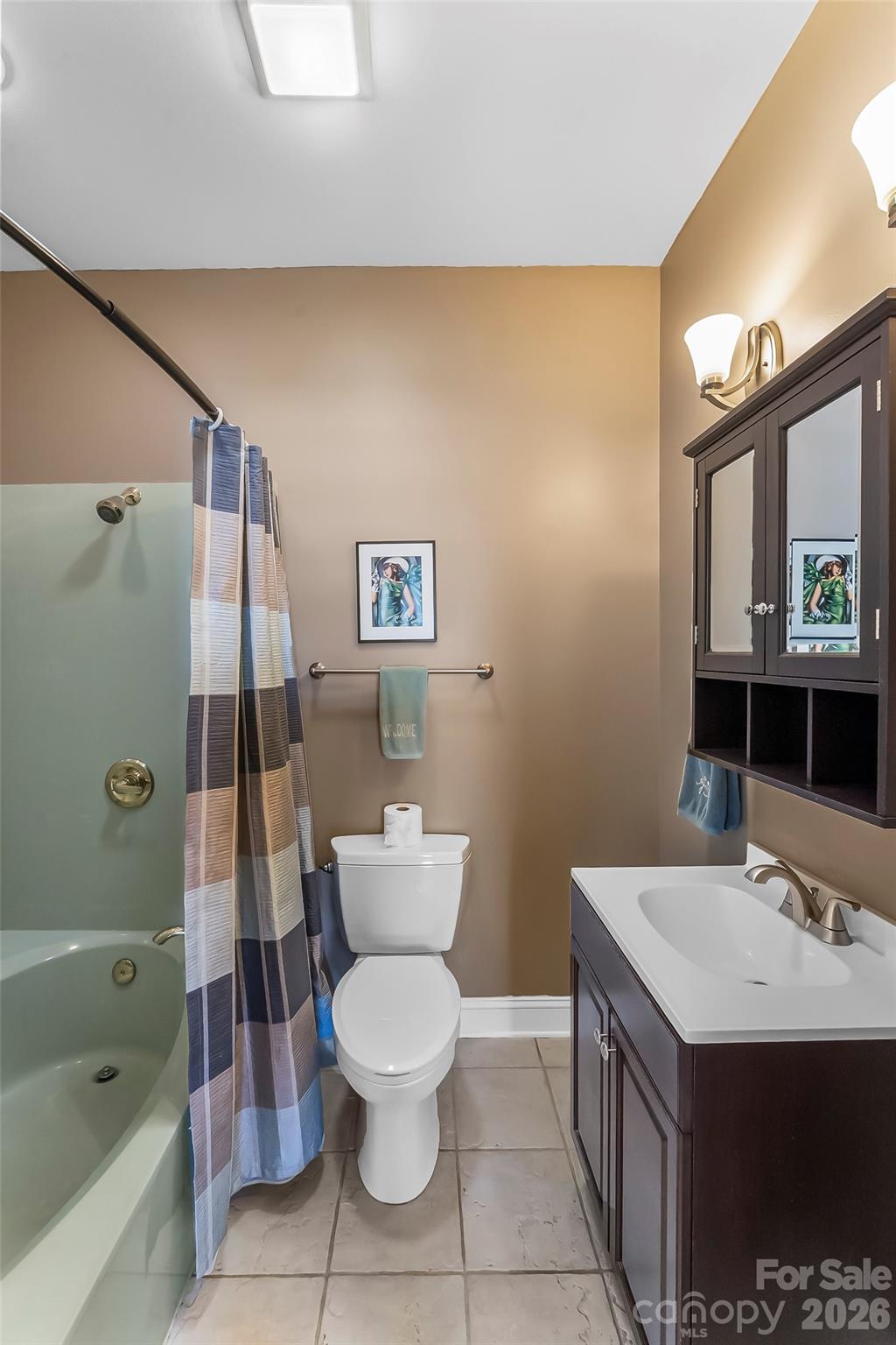4639 Harbor View Terrace Morganton, NC 28655 - Photo 15 of 33 a bathroom with a sink a toilet and shower