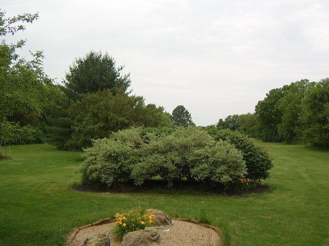7150 Davis Road Hilliard, OH 43026 - Photo 8 of 72 Gallery Image 8