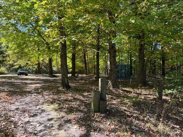 193 Brenan Road Grand Junction, MI 49056 - Photo 12 of 18 IMG_4899