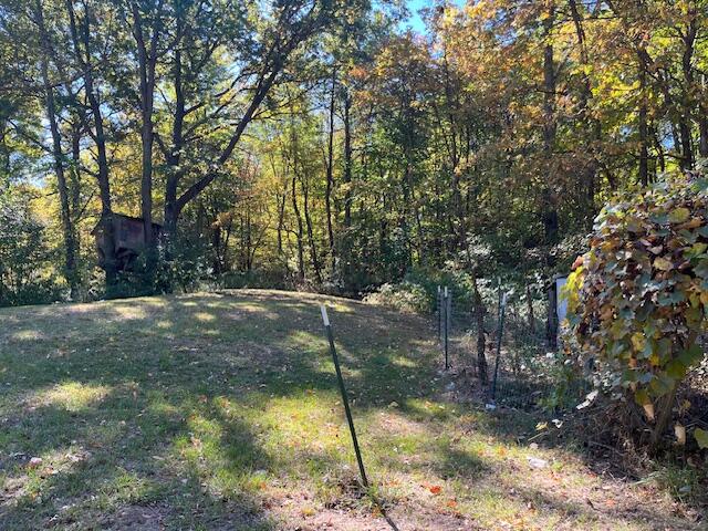 193 Brenan Road Grand Junction, MI 49056 - Photo 16 of 18 IMG_4895