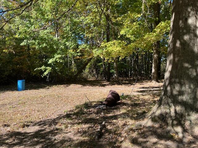 193 Brenan Road Grand Junction, MI 49056 - Photo 17 of 18 IMG_4894