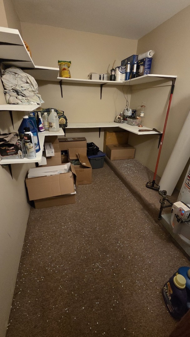 2502 Van Drunen Lane Crete, IL 60417 - Photo 26 of 58