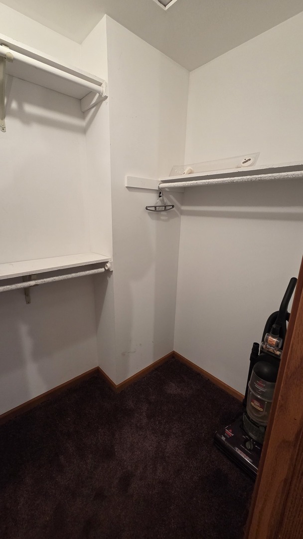 2502 Van Drunen Lane Crete, IL 60417 - Photo 34 of 58 a view of a room with racks on the wall