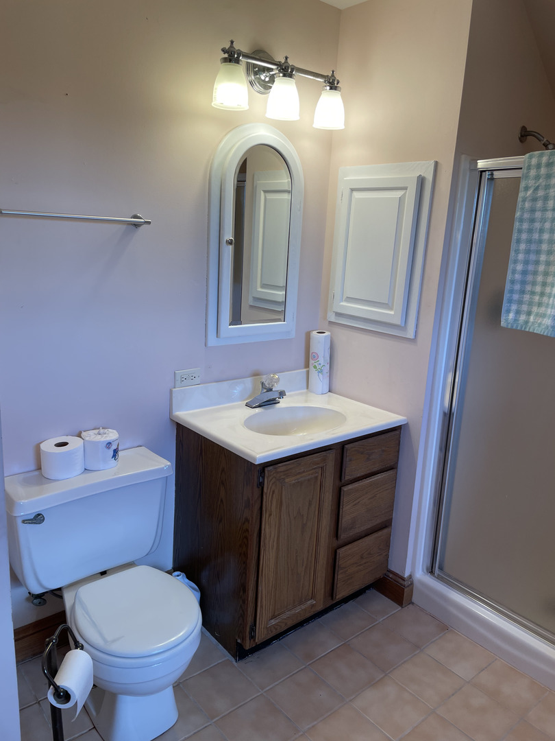 2502 Van Drunen Lane Crete, IL 60417 - Photo 36 of 58 a bathroom with a sink vanity mirror and toilet