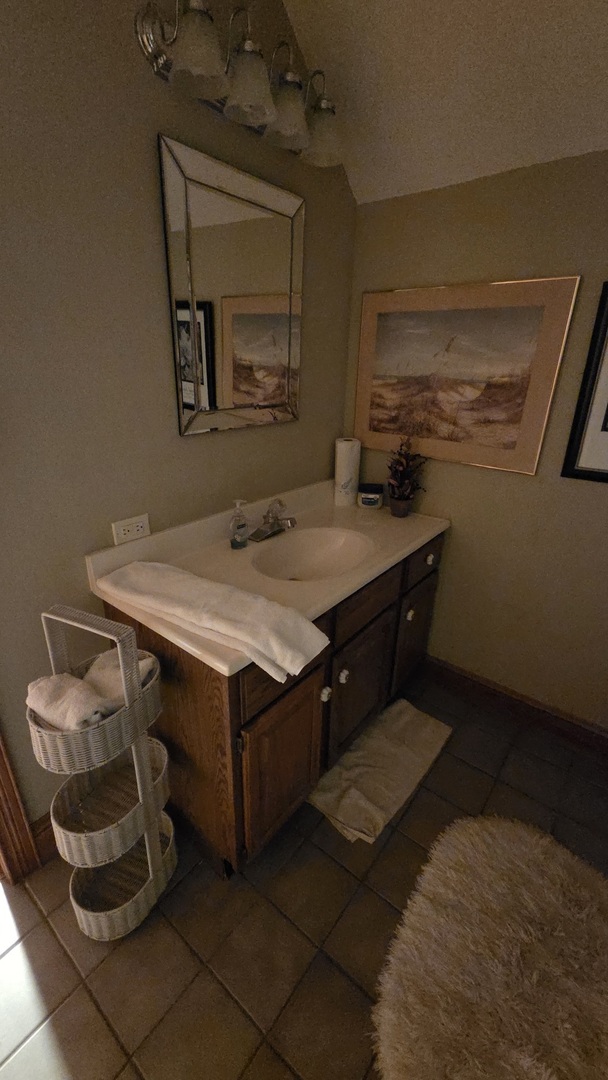 2502 Van Drunen Lane Crete, IL 60417 - Photo 42 of 58