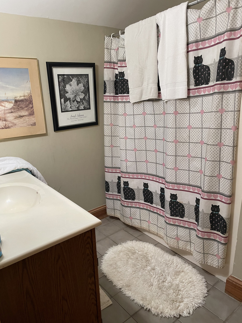 2502 Van Drunen Lane Crete, IL 60417 - Photo 43 of 58 a bathroom with a sink and a mirror