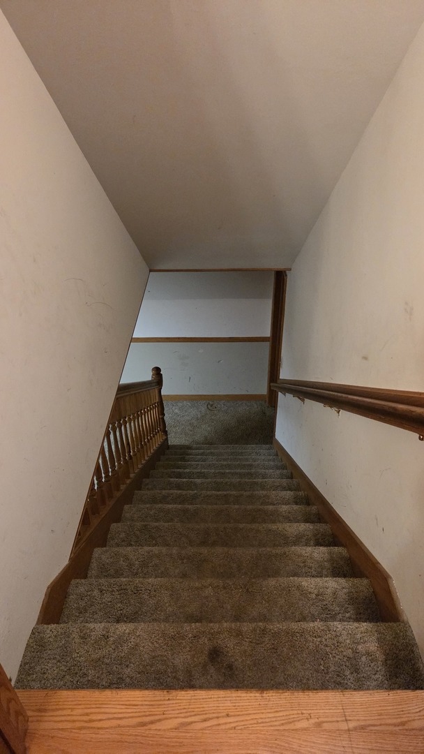 2502 Van Drunen Lane Crete, IL 60417 - Photo 45 of 58