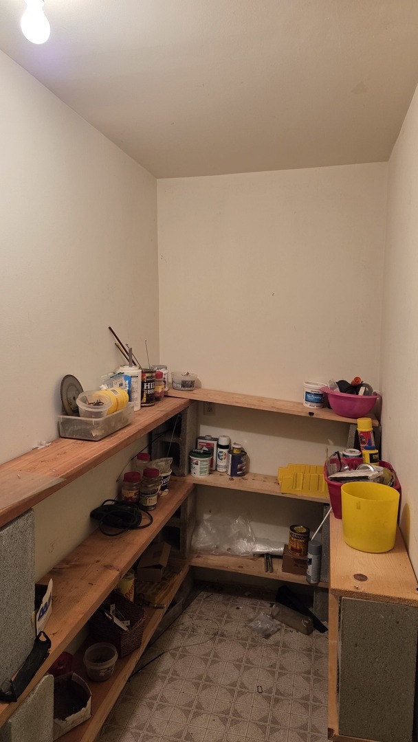 2502 Van Drunen Lane Crete, IL 60417 - Photo 53 of 58 a room with storage and utility